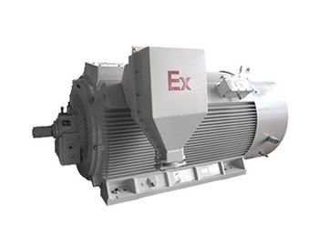 Y2W Series Non Spark 3 Phase Induction Motor 185 - 1800Kw Power Range