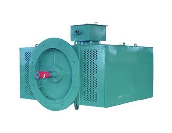Vertical Three Phase Asynchronous Motor High Efficiency For Power Station